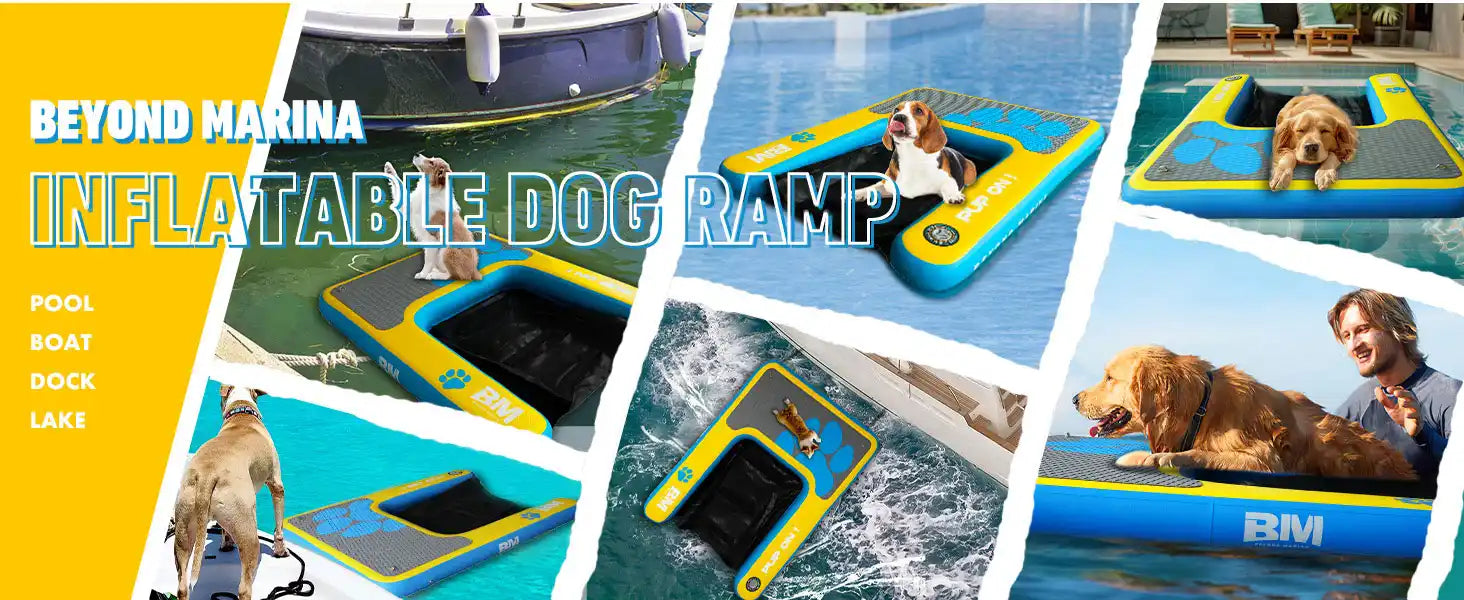 Inflatable dog ramp.