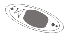 7 Simple Steps to Repair Your Paddle Board